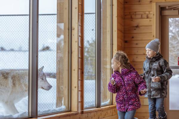 Two kids exploring the Grizzly and Wolf Discovery Center in West Yellowstone